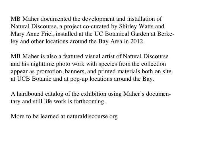 http://post.mbmaher.com/files/gimgs/th-4_natural.jpg